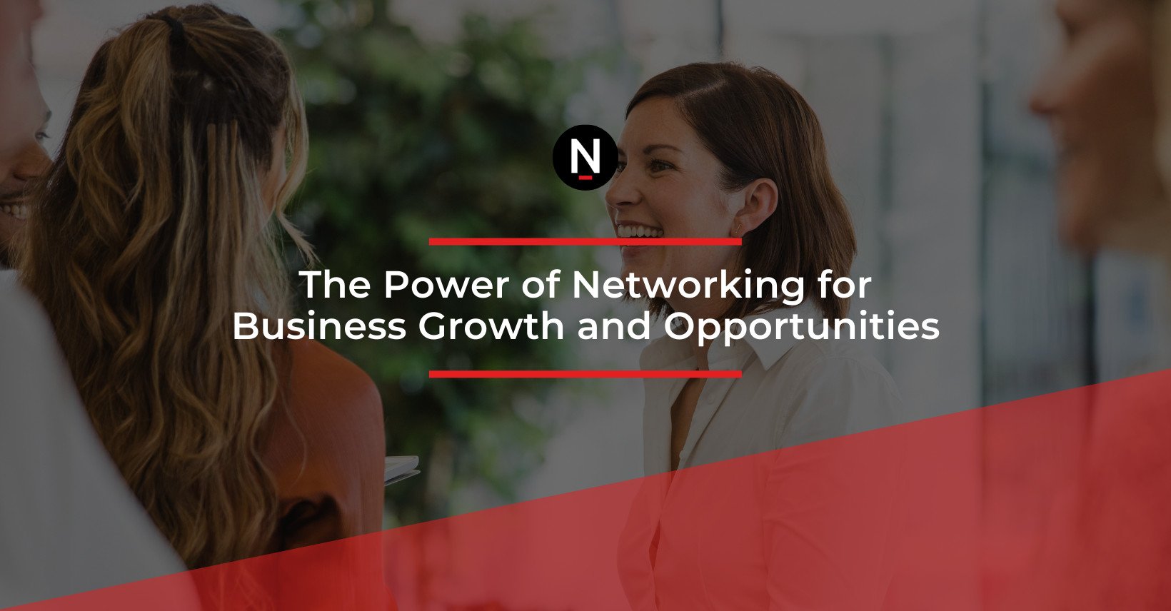 The Power of Networking for Business Growth Nordens